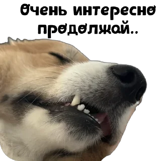 Sticker UnderDogs - 8