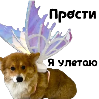 Sticker UnderDogs - 10