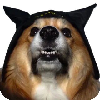 Sticker UnderDogs - 9