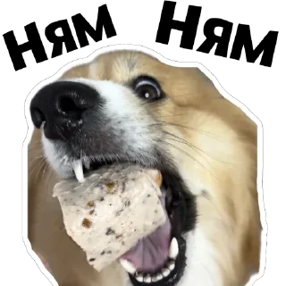 Sticker UnderDogs - 4