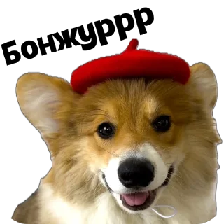 Sticker UnderDogs - 6