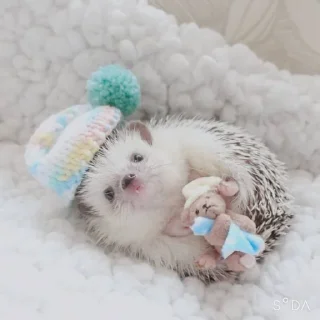 Sticker фуфикпак - 5