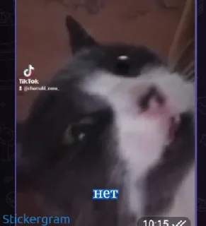 Sticker Рончик-барончик - 10