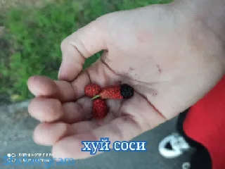 Sticker Рончик-барончик - 8