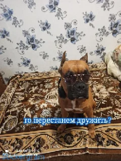 Sticker Рончик-барончик - 2