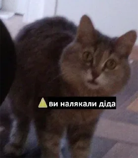 Sticker Funniest shit from Ukraine - 7