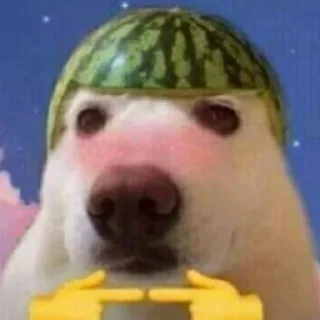 Sticker Мемчики :3 - 10