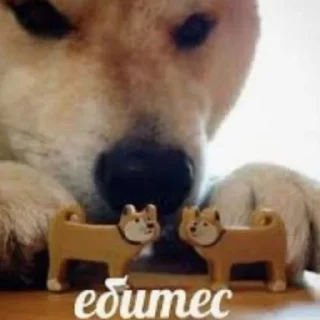 Sticker Мемчики :3 - 4