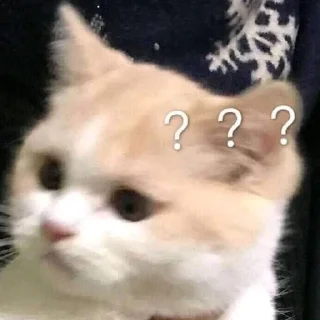 Sticker Котики - 2