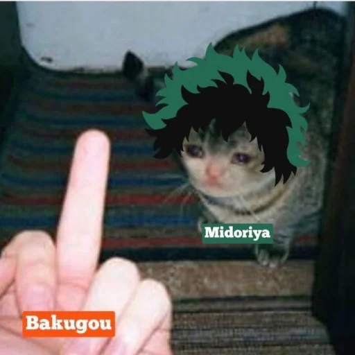 Стикер FunnyMHA - 1