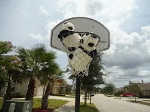 Sticker Funny panda😄 - 6