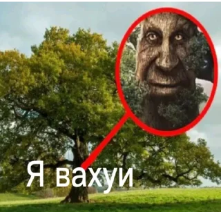 Стикер Мои стики :D (тг и тт Funny_Va1ent1ne) - 9