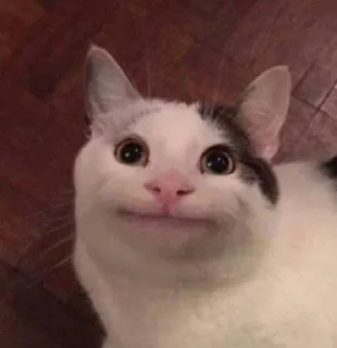 Стикер Коты - 3