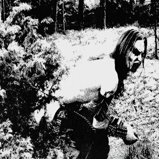 black and white snow outdoor