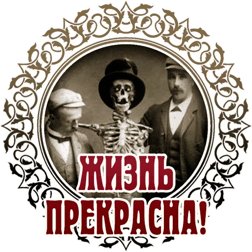 человеческое лицо СМС Человек