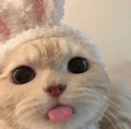 Стикер котики zetsu - 9