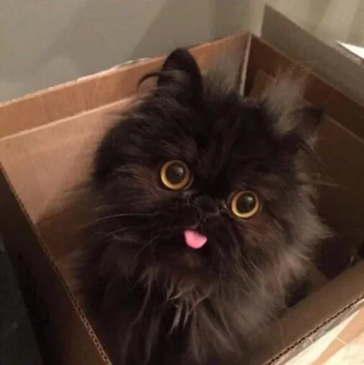 Стикер котики zetsu - 8