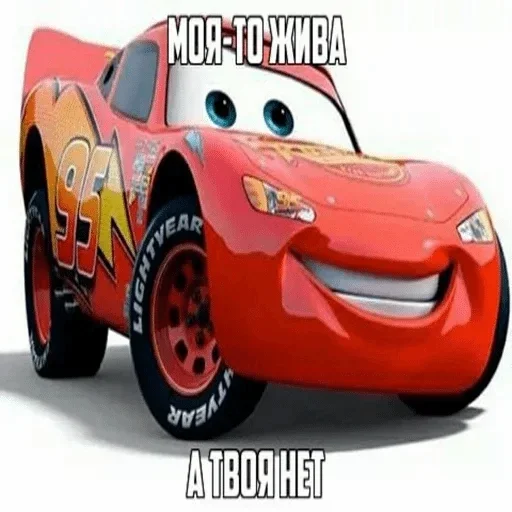 wheel tire land vehicle