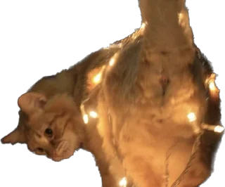 Sticker Пушистый пидр - 3