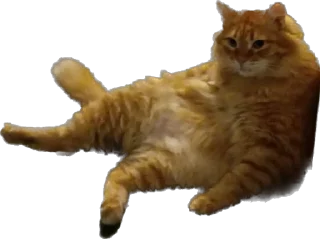 Sticker Пушистый пидр - 10