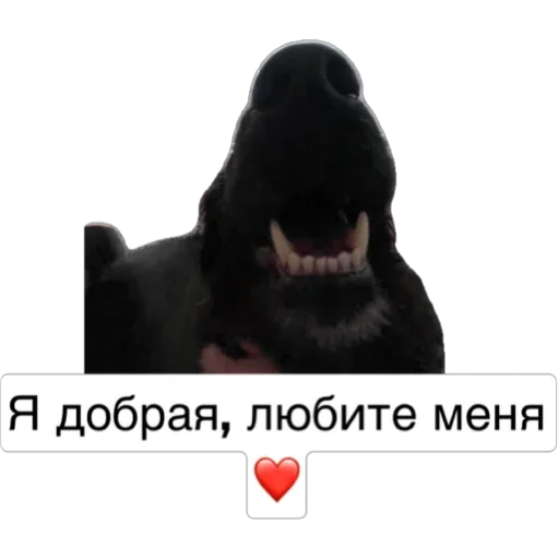 Sticker Fuzzies_6 - 1