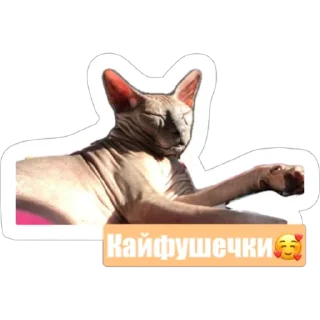 Sticker Любимки - 5