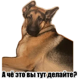 Sticker Любимки - 6