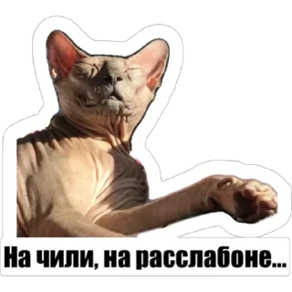 Sticker Любимки - 9
