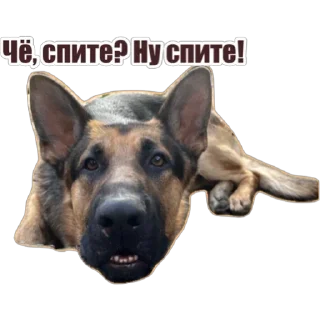 Sticker Любимки - 1