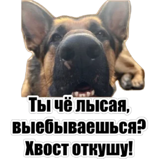 Sticker Любимки - 0