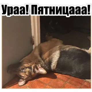 Sticker Любимки - 8