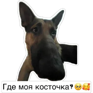 Sticker Любимки - 3