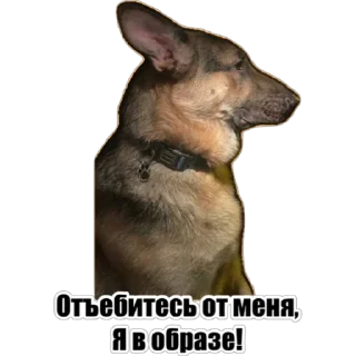 Sticker Любимки - 11