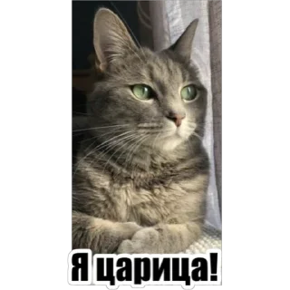 Sticker Любимки - 10