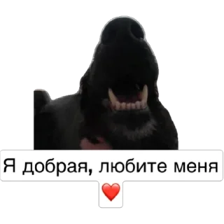Sticker Любимки - 2