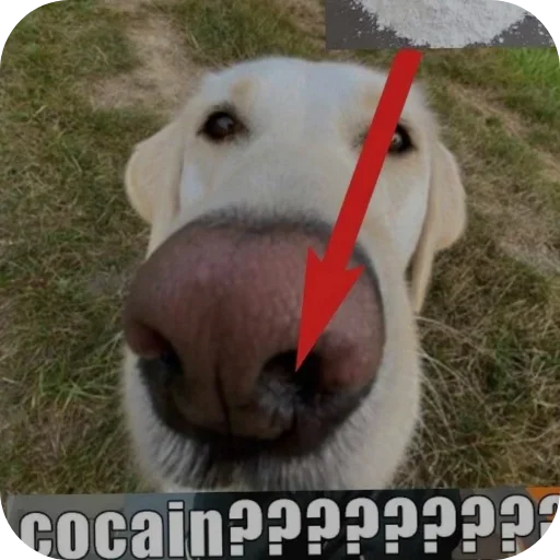 Больше стиков тут: @stikery4 - 