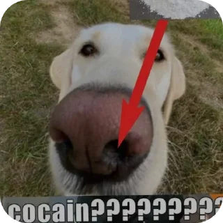 Sticker Больше стиков тут: @stikery4 - 11