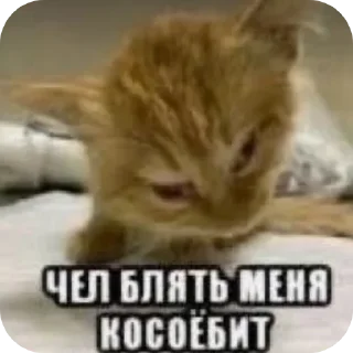 Sticker Больше стиков тут: @stikery4 - 7