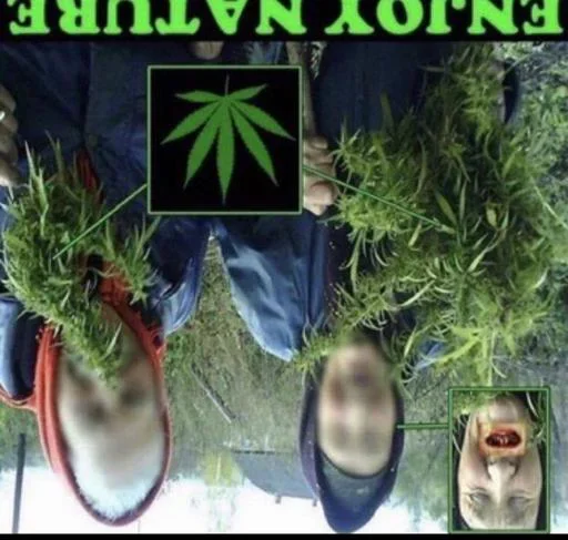 Больше стиков тут: @stikery4 - 