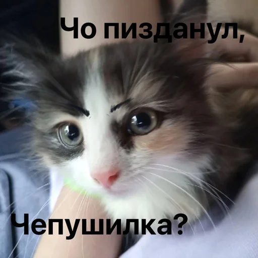 Создать стикеры|@EmojiRuBot - 