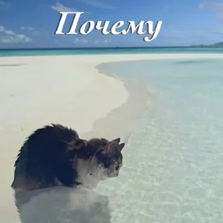 Sticker Создать стикеры|@EmojiRuBot - 1