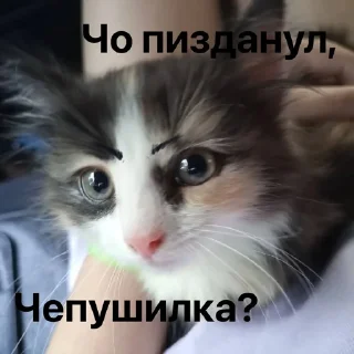 Sticker Создать стикеры|@EmojiRuBot - 0