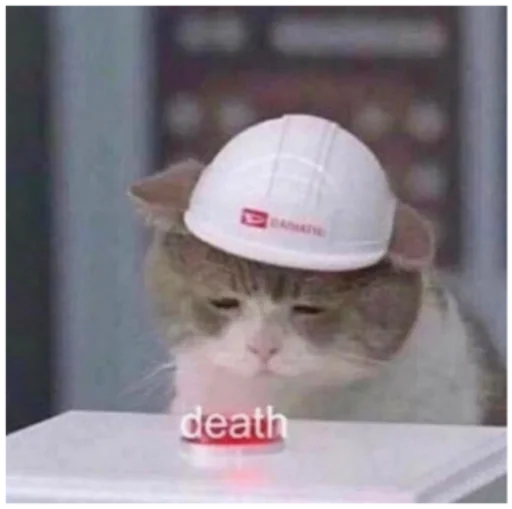 кошка СМС животное