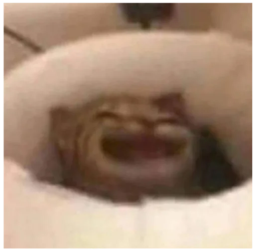 Человек комнатный