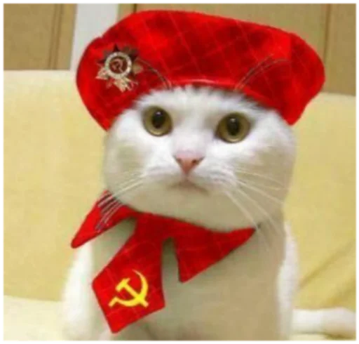 красный животное шляпа