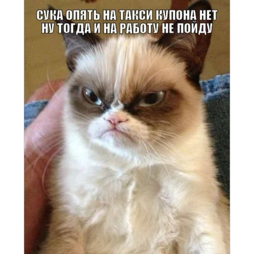 Создать стикеры|@EmojiRuBot - 