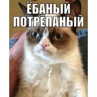 Sticker Создать стикеры|@EmojiRuBot - 9