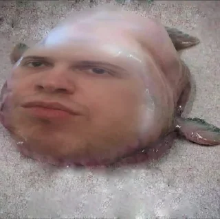 Стикер НУУУУУ ГДЕ ВРАГИ - 8