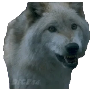 Sticker GAME OF THRONES @STIKERFORALL - 10