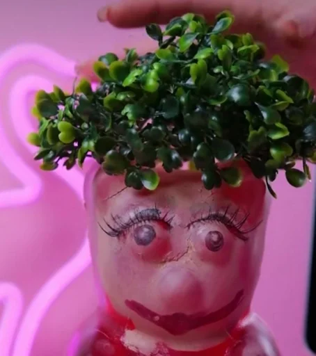toy plant human face